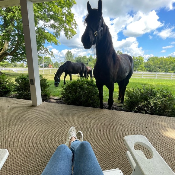 Meet your Posher, Renee. - Picture 5 of 5